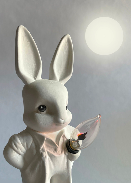Magic Bunny - W